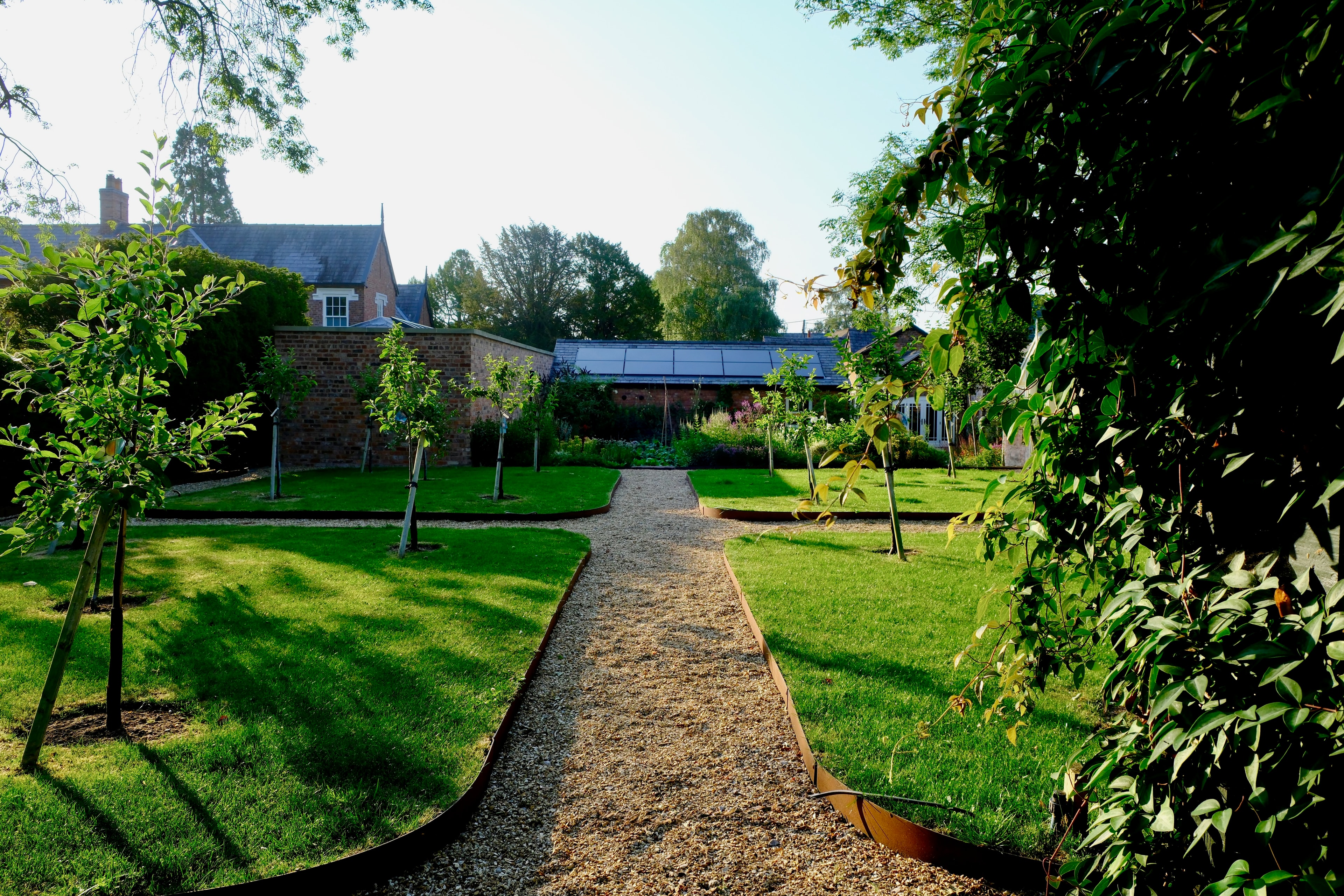 Kitchen garden — through the trees