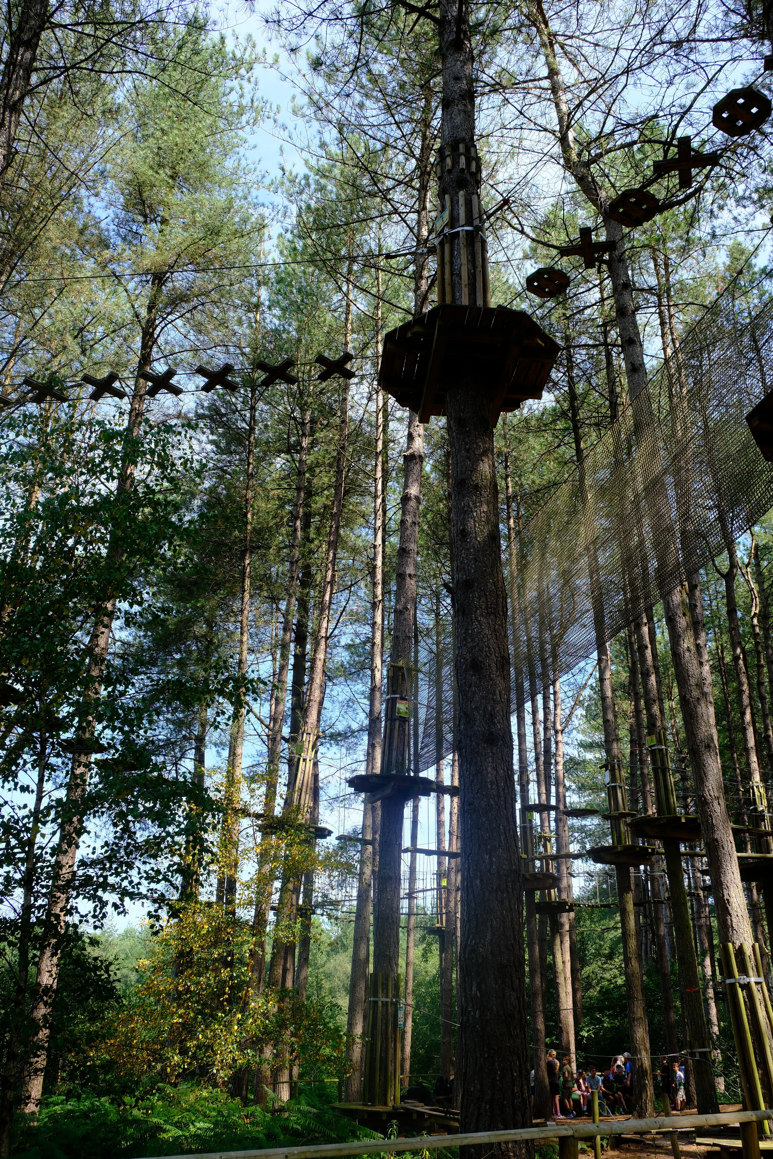 Delamere Forest & beyond