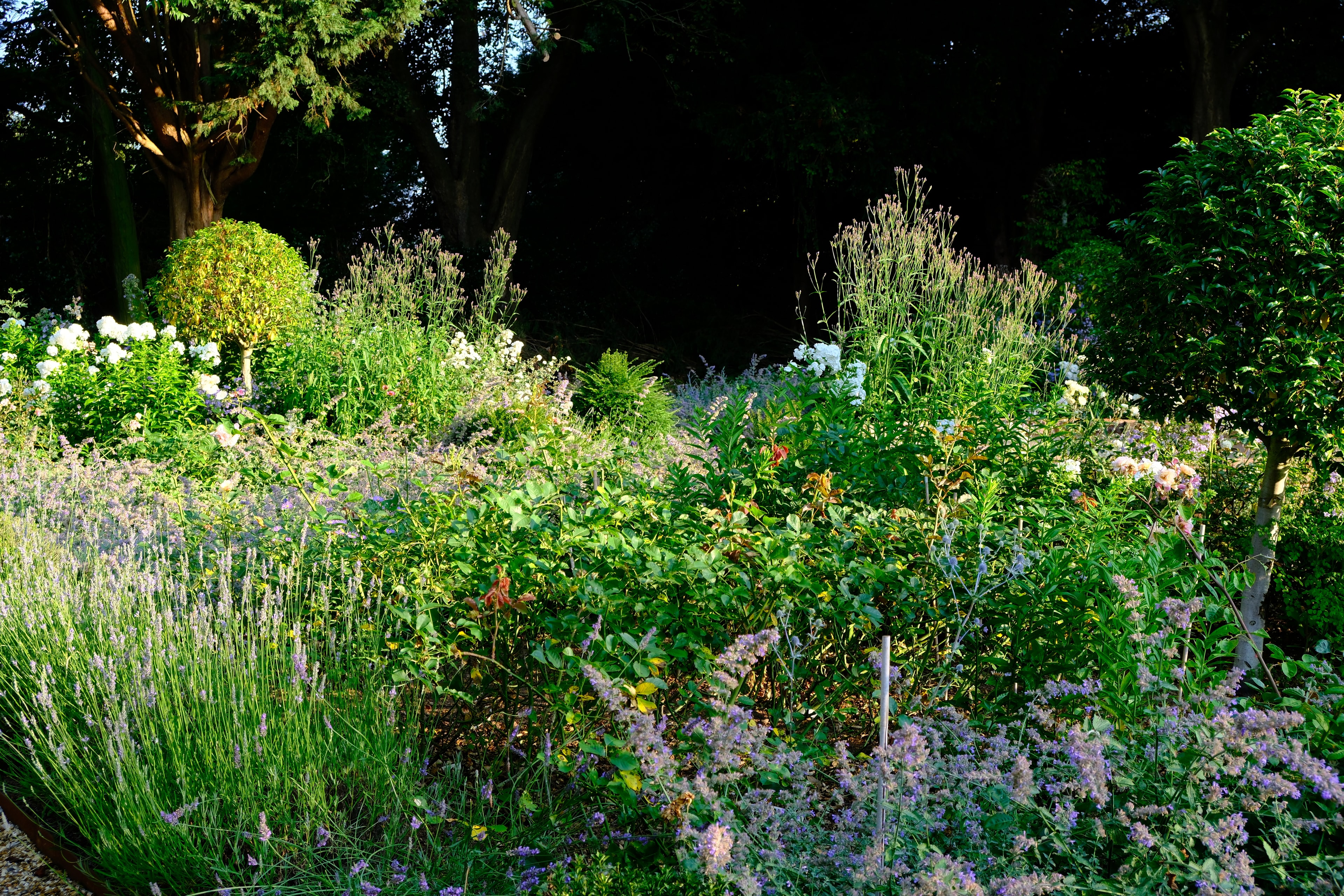 The cottage garden borders