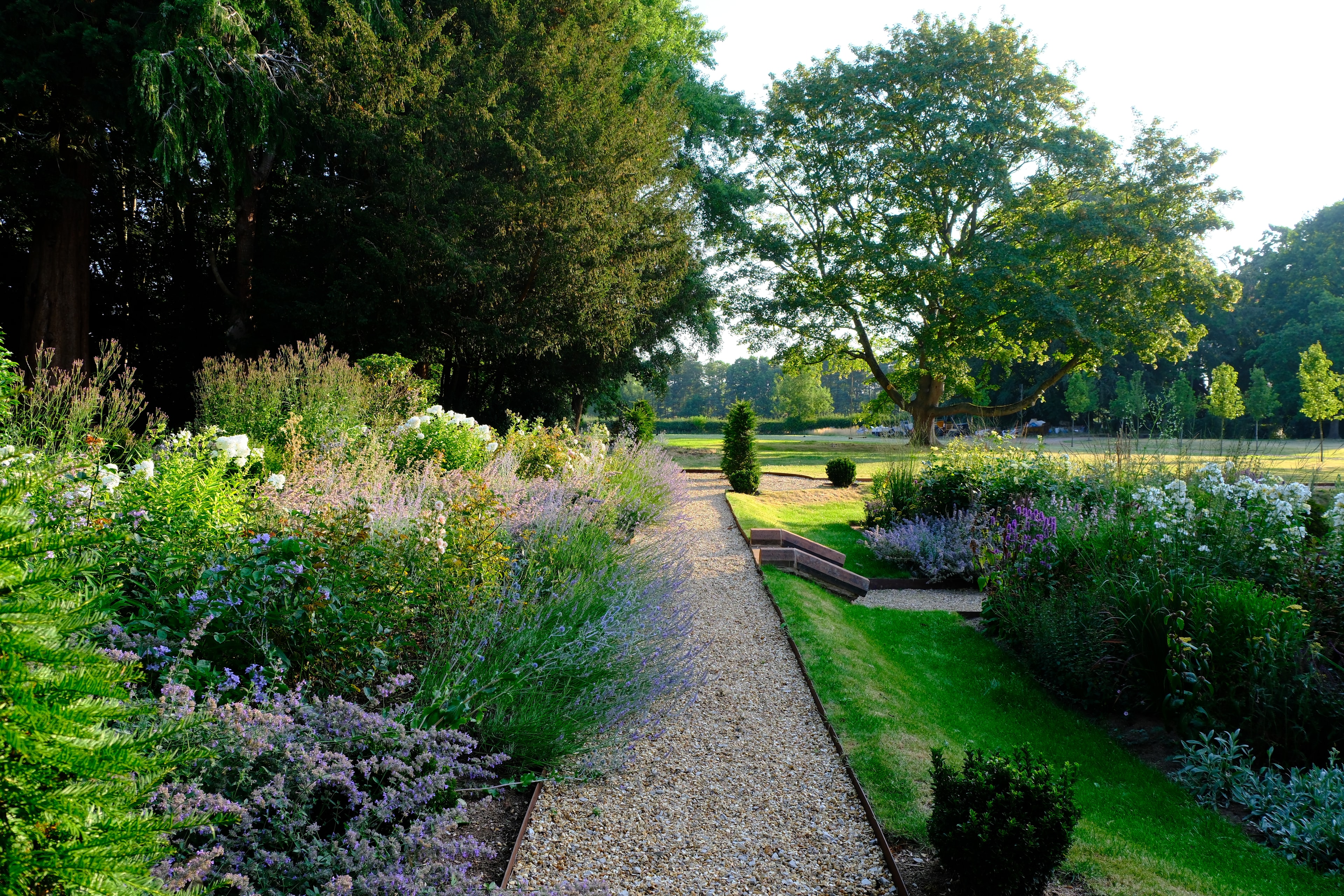 The herbaceous borders