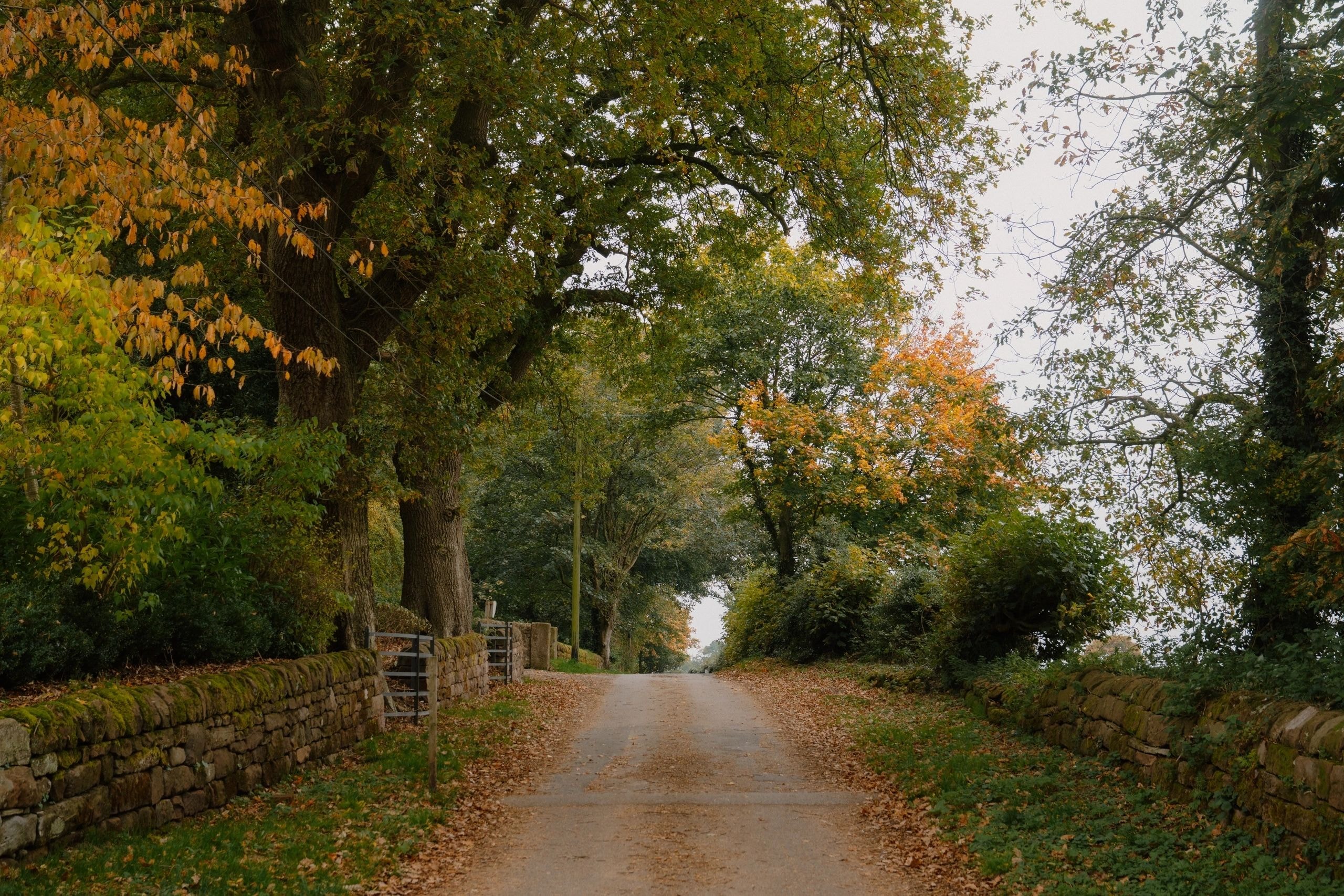 Autumn country lane in Cheshire