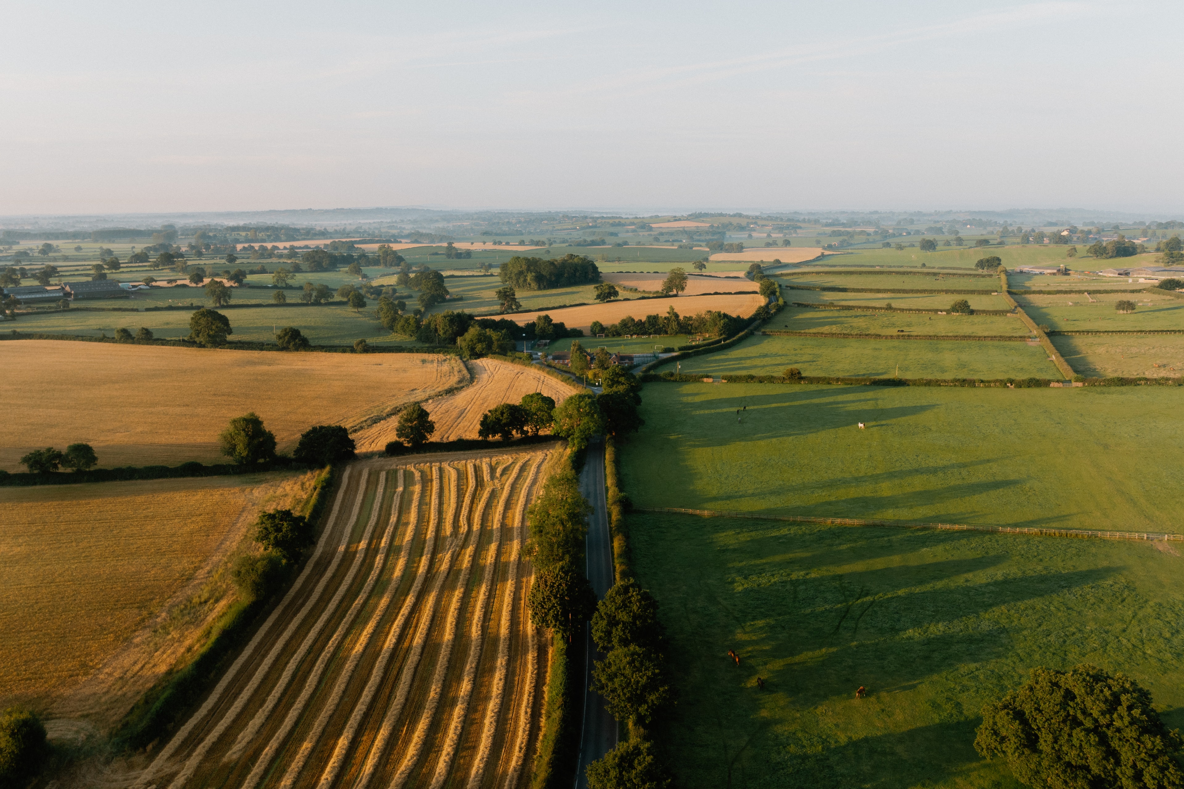 The Cheshire Plains